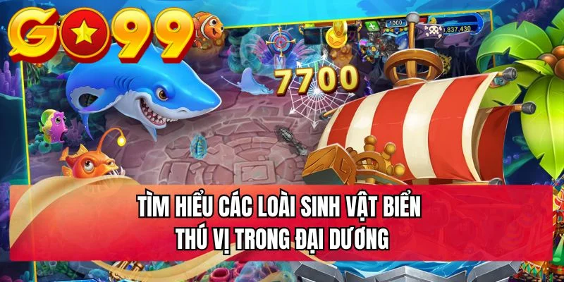 Tìm hiểu các loài sinh vật biển thú vị trong đại dương